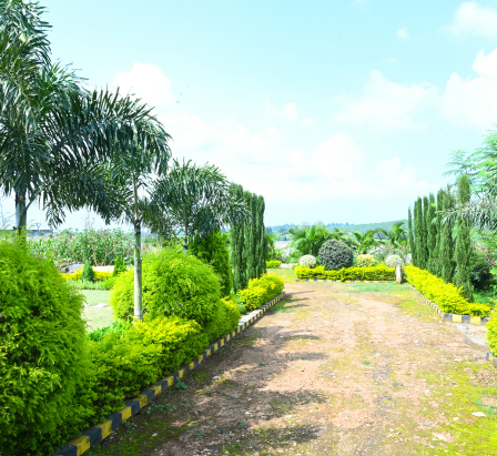 Mr. Manoj Pathak farmhouse
